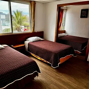 Muyuyo Puerto Ayora (Galapagos Islands)